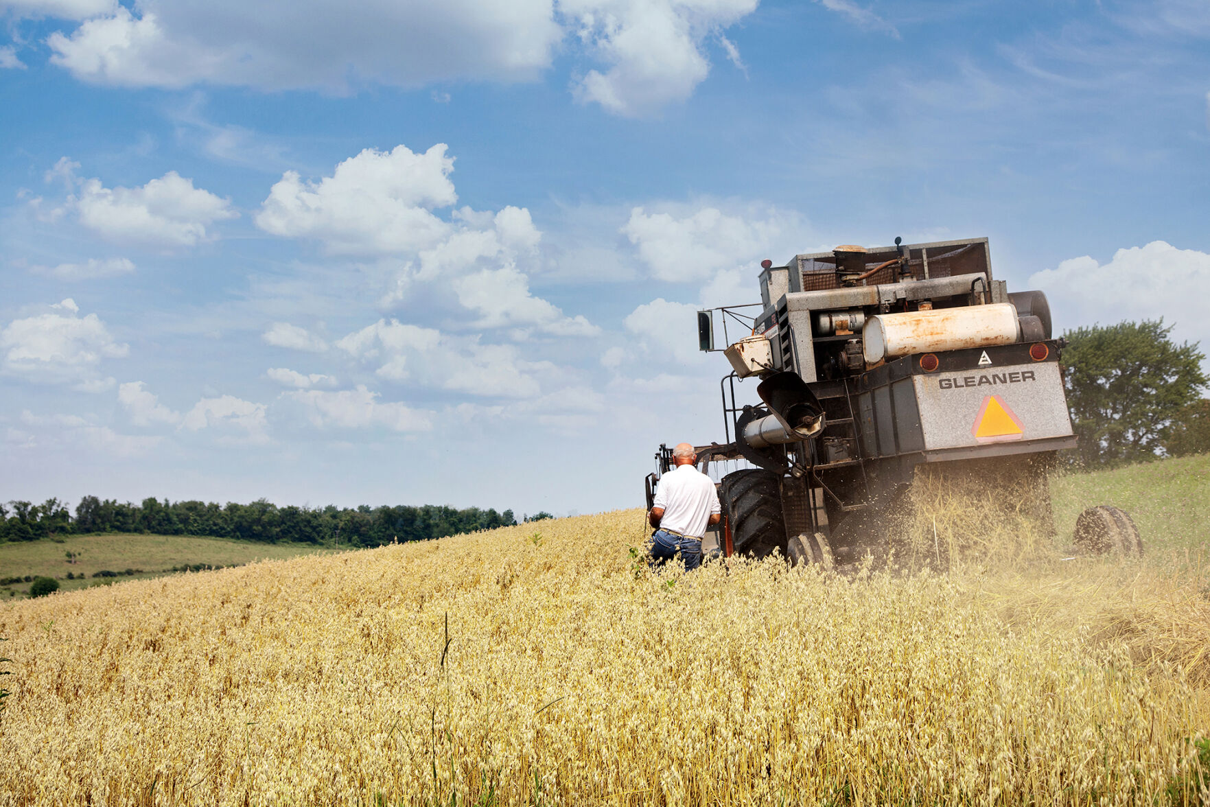 Weatherbury harvest